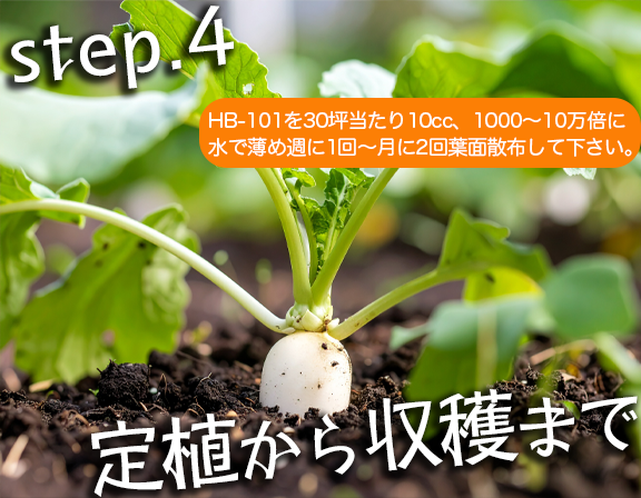 定植から収穫まで植物を支える活力剤